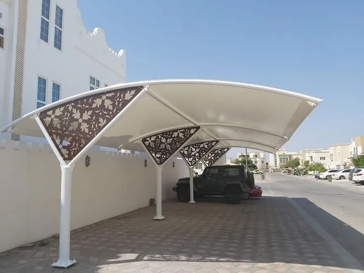 صورة المقال