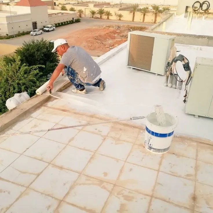 صورة المقال