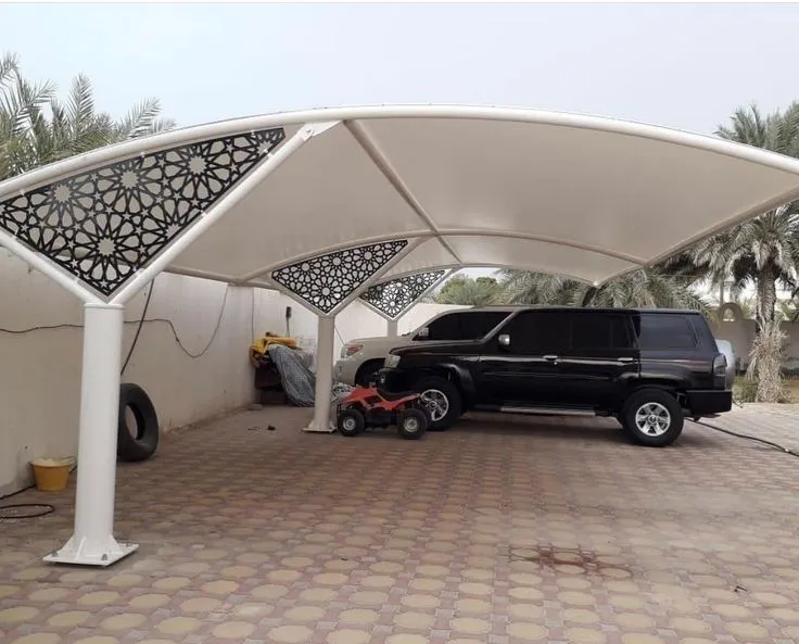 صورة المقال