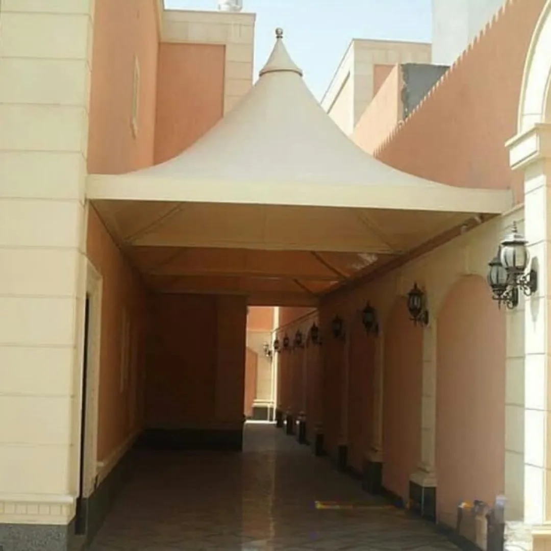 صورة المقال