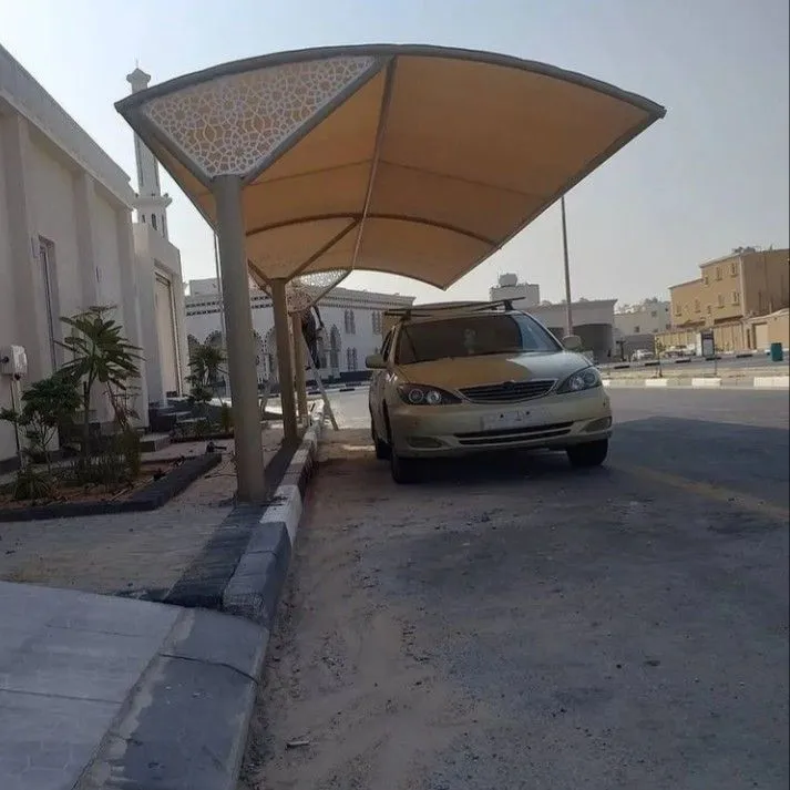 صورة المقال