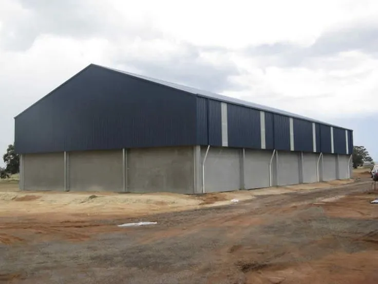 صورة المقال