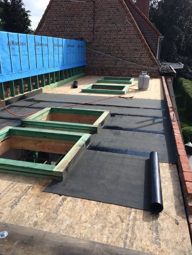 صورة المقال