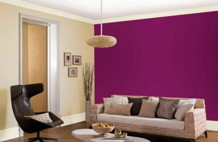 أفضل أصباغ داخلية للشقق في المنطقة الشرقية لعام 2026